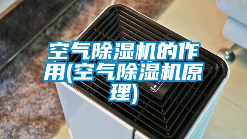 空氣除濕機的作用(空氣除濕機原理)