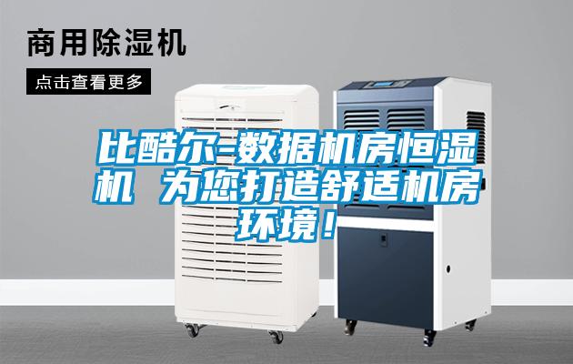 比酷爾-數(shù)據(jù)機房恒濕機 為您打造舒適機房環(huán)境！