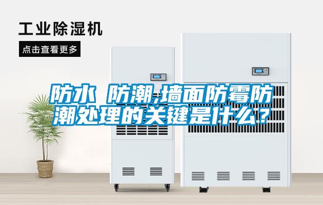 防水≠防潮,墻面防霉防潮處理的關(guān)鍵是什么？