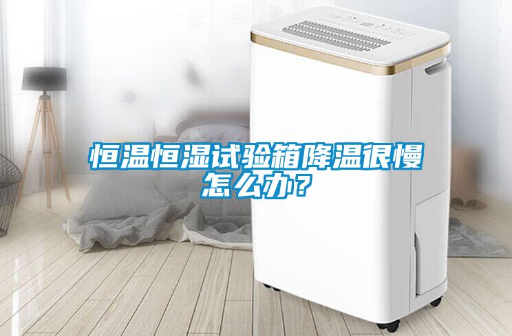 恒溫恒濕試驗箱降溫很慢怎么辦？