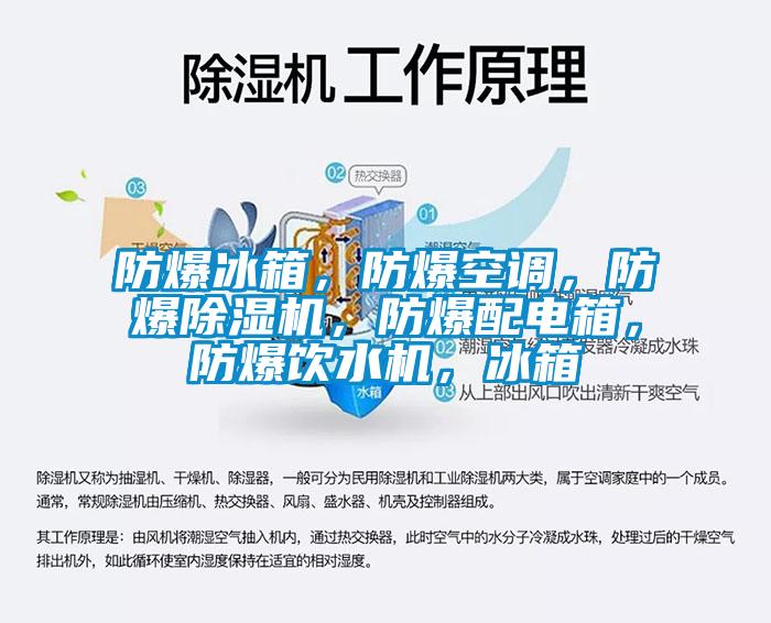 防爆冰箱，防爆空調(diào)，防爆除濕機，防爆配電箱，防爆飲水機，冰箱