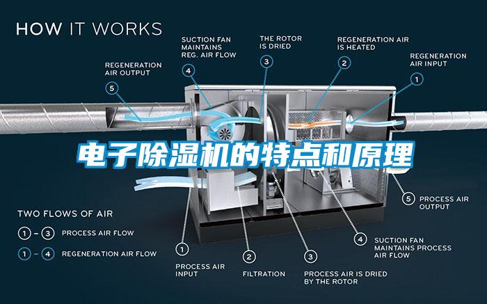 電子除濕機(jī)的特點(diǎn)和原理