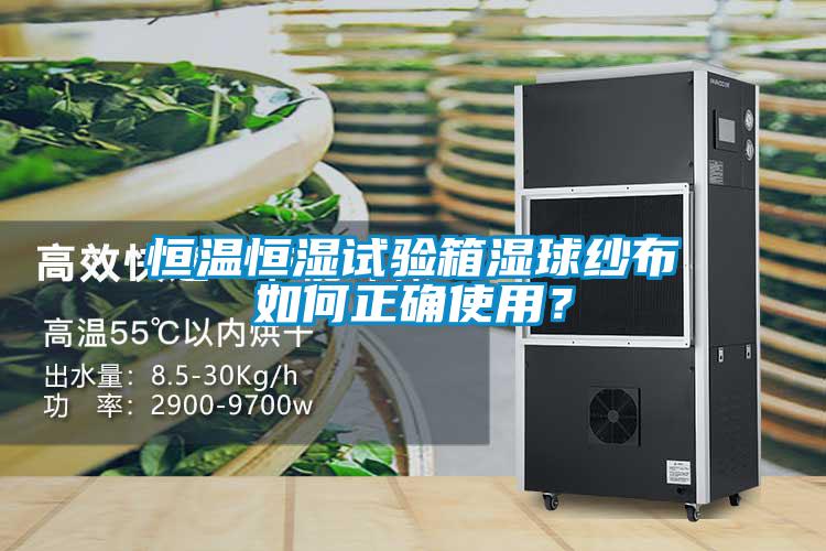 恒溫恒濕試驗箱濕球紗布如何正確使用？