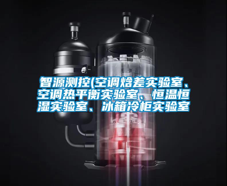 智源測控(空調(diào)焓差實驗室、空調(diào)熱平衡實驗室、恒溫恒濕實驗室、冰箱冷柜實驗室