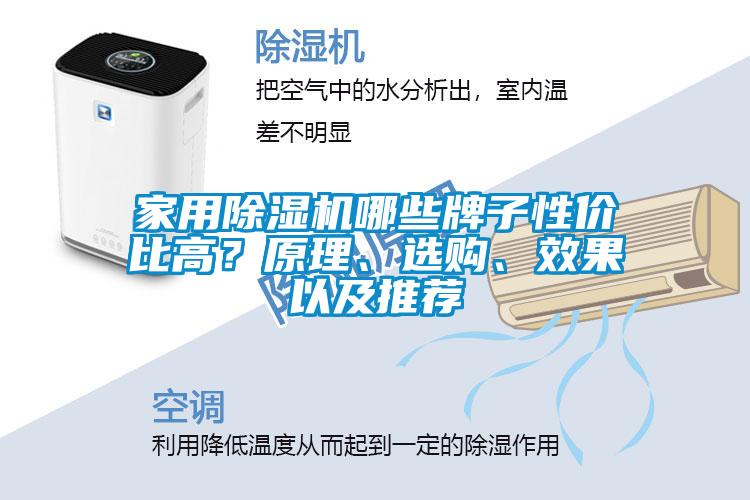 家用除濕機(jī)哪些牌子性價(jià)比高？原理、選購、效果以及推薦