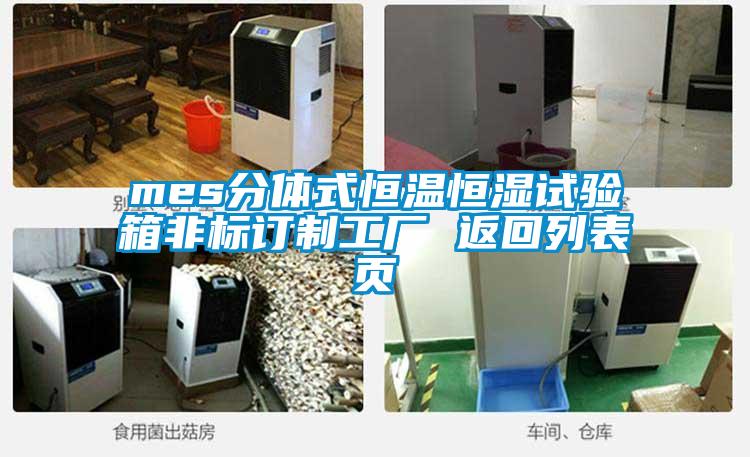 mes分體式恒溫恒濕試驗(yàn)箱非標(biāo)訂制工廠(chǎng) 返回列表頁(yè)