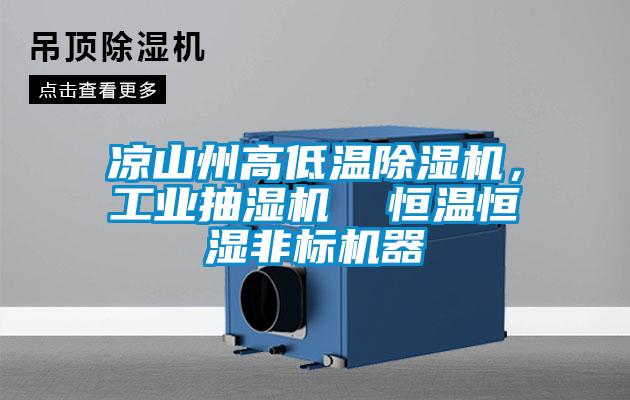 涼山州高低溫除濕機，工業(yè)抽濕機  恒溫恒濕非標機器