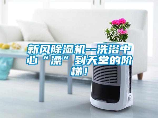 新風(fēng)除濕機(jī)--洗浴中心“澡”到天堂的階梯！