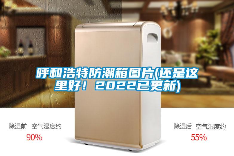 呼和浩特防潮箱圖片(還是這里好！2022已更新)