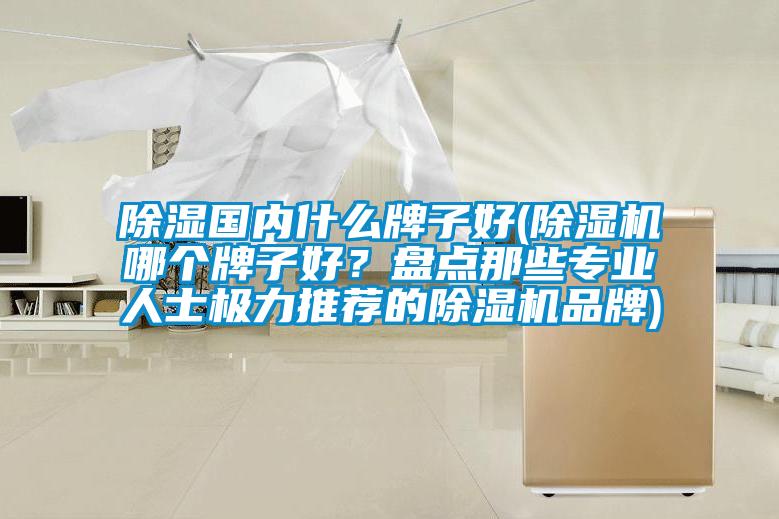 除濕國內(nèi)什么牌子好(除濕機哪個牌子好？盤點那些專業(yè)人士極力推薦的除濕機品牌)