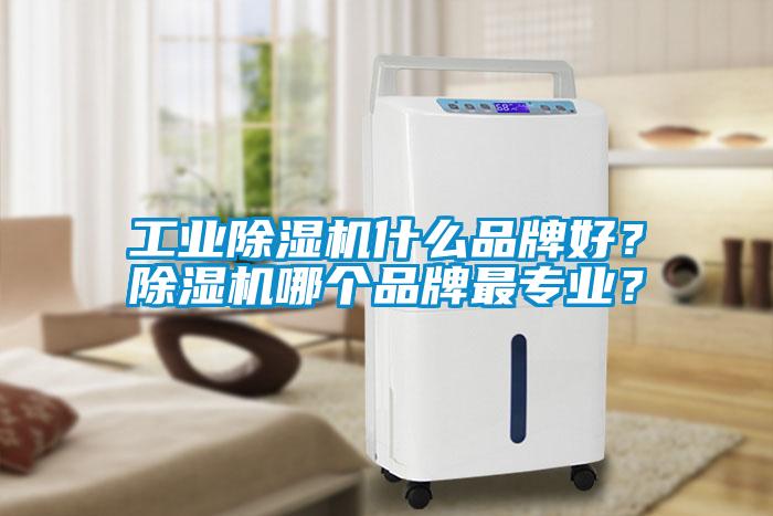 工業(yè)除濕機(jī)什么品牌好？除濕機(jī)哪個(gè)品牌最專(zhuān)業(yè)？
