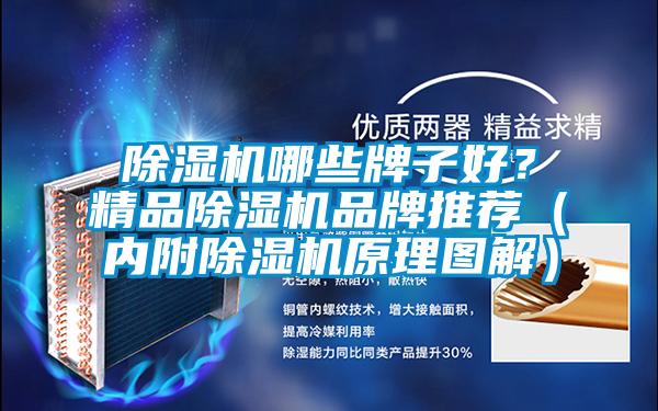除濕機哪些牌子好？精品除濕機品牌推薦（內(nèi)附除濕機原理圖解）