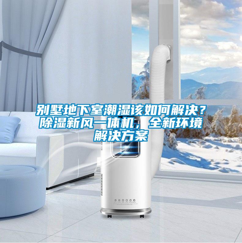 別墅地下室潮濕該如何解決？除濕新風(fēng)一體機(jī)，全新環(huán)境解決方案