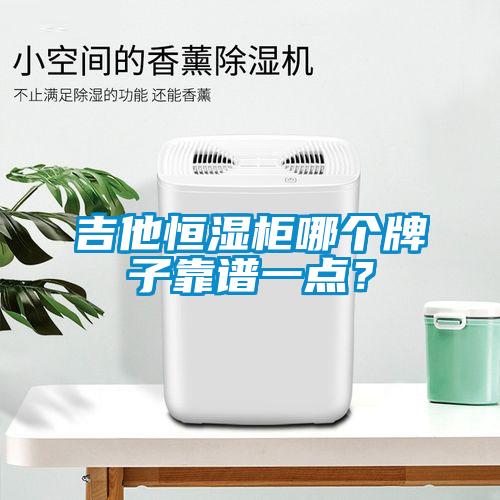 吉他恒濕柜哪個(gè)牌子靠譜一點(diǎn)？