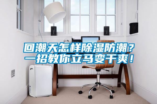 回潮天怎樣除濕防潮？一招教你立馬變干爽！