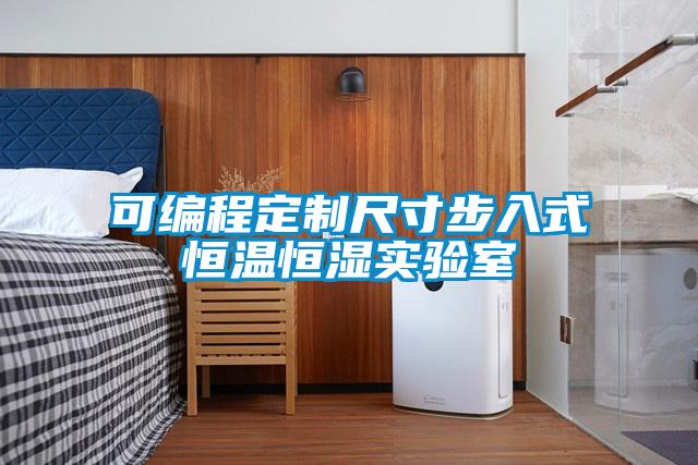 可編程定制尺寸步入式恒溫恒濕實(shí)驗(yàn)室