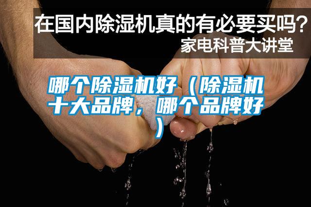 哪個(gè)除濕機(jī)好（除濕機(jī)十大品牌，哪個(gè)品牌好）