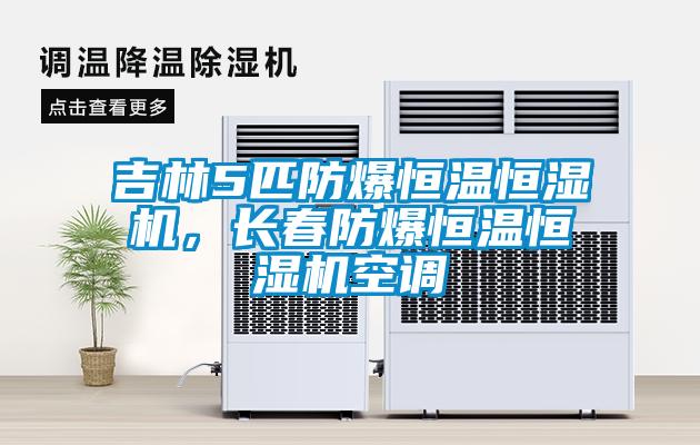 吉林5匹防爆恒溫恒濕機，長春防爆恒溫恒濕機空調(diào)