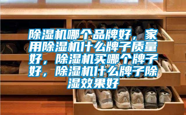 除濕機(jī)哪個(gè)品牌好，家用除濕機(jī)什么牌子質(zhì)量好，除濕機(jī)買哪個(gè)牌子好，除濕機(jī)什么牌子除濕效果好