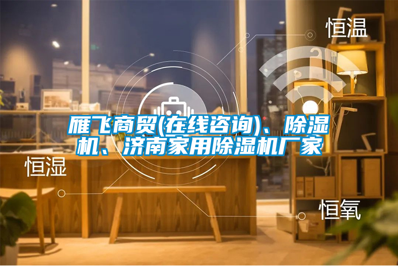 雁飛商貿(mào)(在線咨詢)、除濕機、濟南家用除濕機廠家