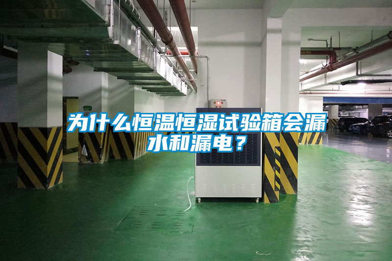 為什么恒溫恒濕試驗箱會漏水和漏電？