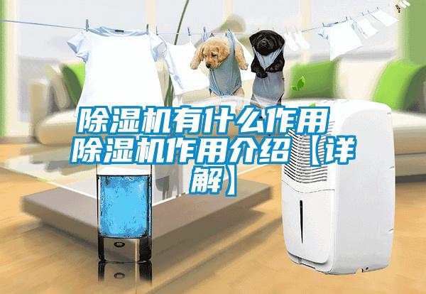 除濕機有什么作用 除濕機作用介紹【詳解】