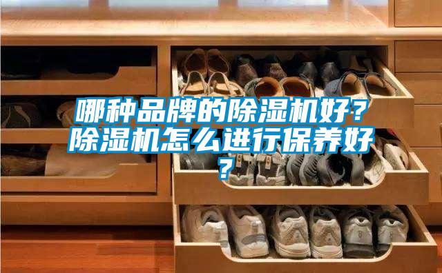 哪種品牌的除濕機(jī)好？除濕機(jī)怎么進(jìn)行保養(yǎng)好？