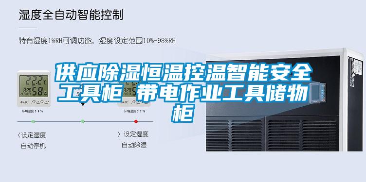 供應除濕恒溫控溫智能安全工具柜 帶電作業(yè)工具儲物柜