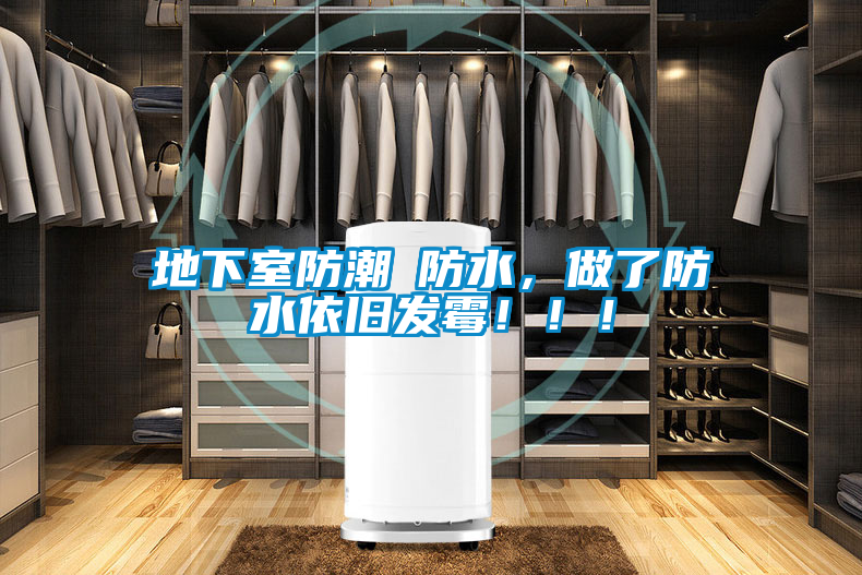 地下室防潮≠防水，做了防水依舊發(fā)霉?。?！