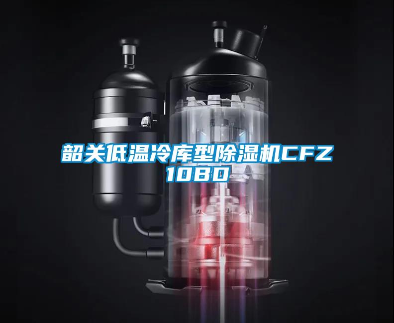 韶關(guān)低溫冷庫型除濕機(jī)CFZ10BD