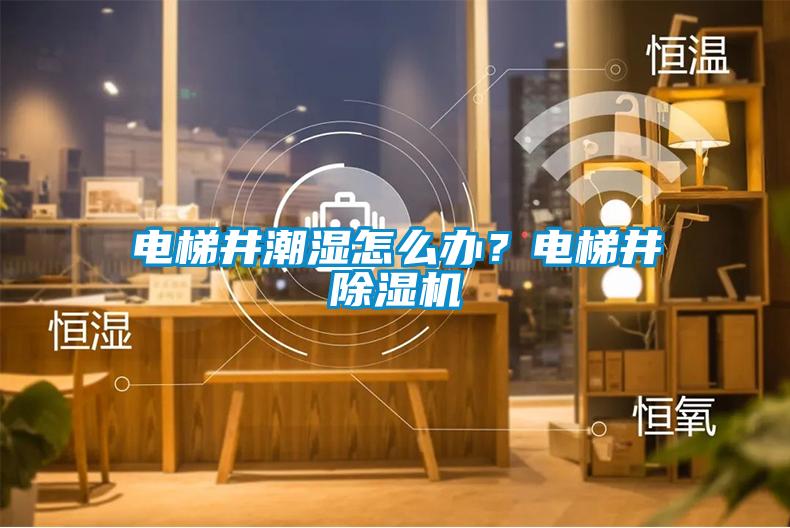 電梯井潮濕怎么辦？電梯井除濕機
