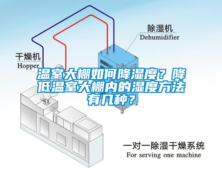 溫室大棚如何降濕度？降低溫室大棚內(nèi)的濕度方法有幾種？