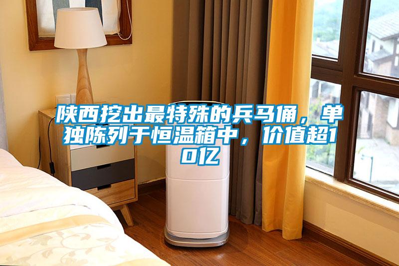 陜西挖出最特殊的兵馬俑，單獨(dú)陳列于恒溫箱中，價(jià)值超10億