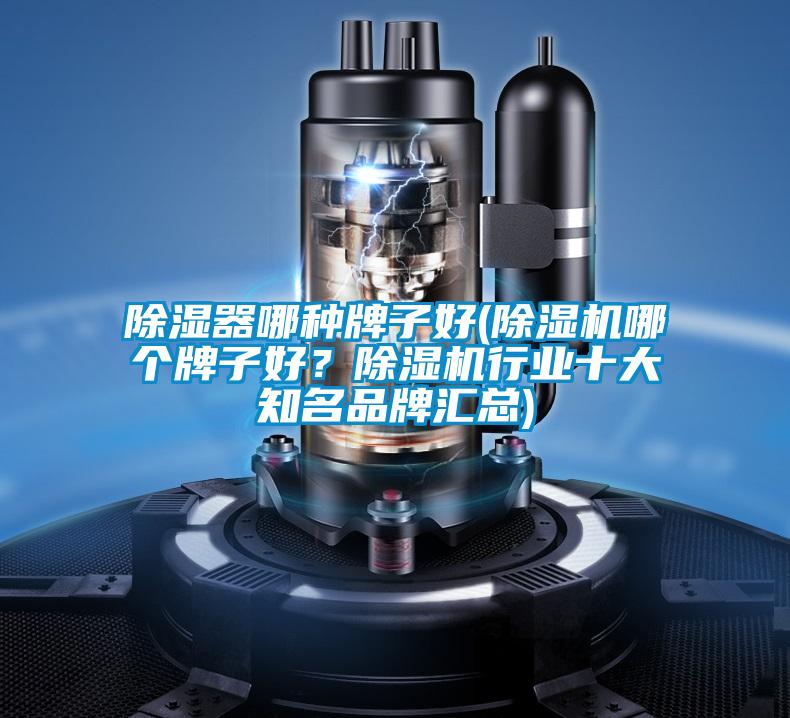 除濕器哪種牌子好(除濕機哪個牌子好？除濕機行業(yè)十大知名品牌匯總)