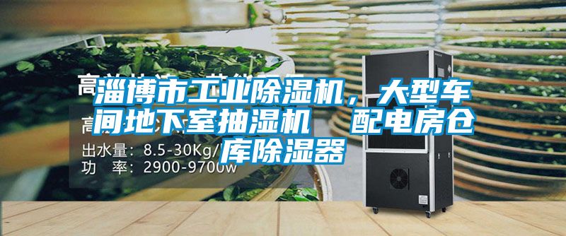淄博市工業(yè)除濕機(jī)，大型車間地下室抽濕機(jī)  配電房倉庫除濕器