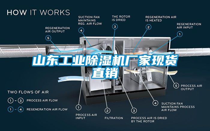 山東工業(yè)除濕機廠家現貨直銷