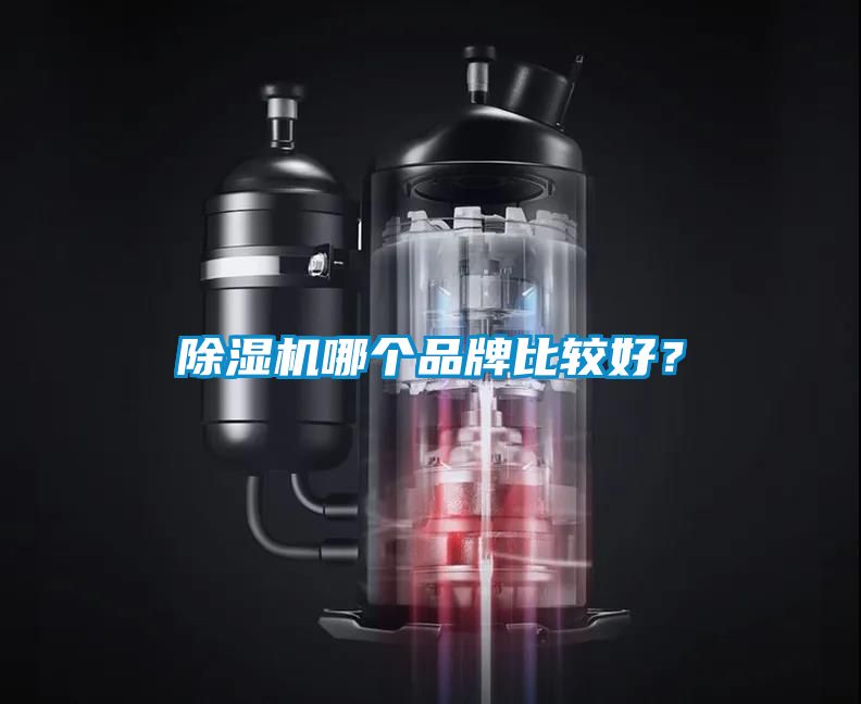 除濕機(jī)哪個(gè)品牌比較好？