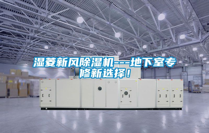 濕菱新風除濕機---地下室專修新選擇！