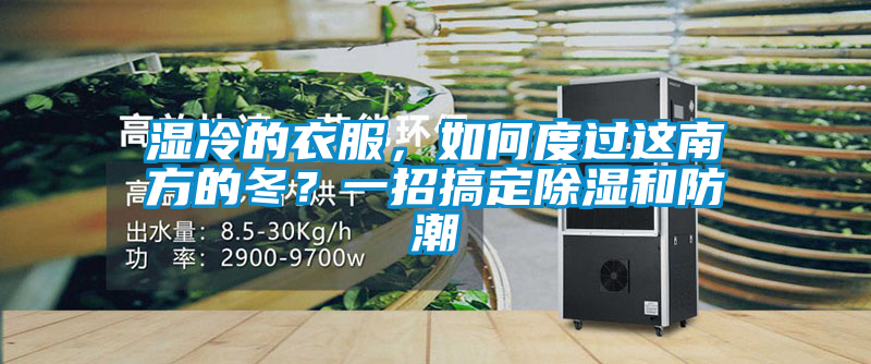濕冷的衣服，如何度過這南方的冬？一招搞定除濕和防潮