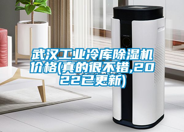 武漢工業(yè)冷庫(kù)除濕機(jī)價(jià)格(真的很不錯(cuò),2022已更新)