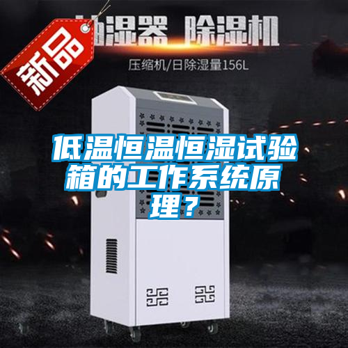 低溫恒溫恒濕試驗箱的工作系統(tǒng)原理？
