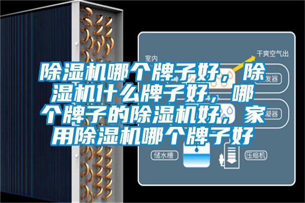 除濕機(jī)哪個(gè)牌子好，除濕機(jī)什么牌子好，哪個(gè)牌子的除濕機(jī)好，家用除濕機(jī)哪個(gè)牌子好