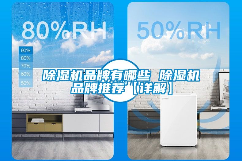 除濕機(jī)品牌有哪些 除濕機(jī)品牌推薦【詳解】