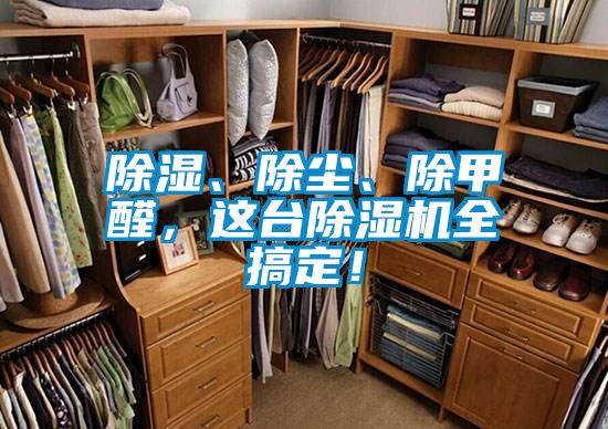 除濕、除塵、除甲醛，這臺(tái)除濕機(jī)全搞定！