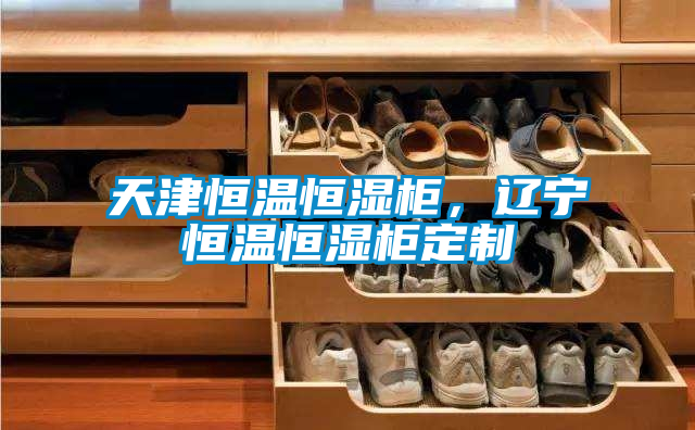 天津恒溫恒濕柜，遼寧恒溫恒濕柜定制