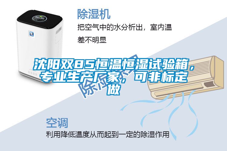 沈陽雙85恒溫恒濕試驗(yàn)箱，專業(yè)生產(chǎn)廠家，可非標(biāo)定做