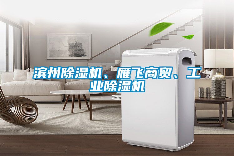 濱州除濕機(jī)、雁飛商貿(mào)、工業(yè)除濕機(jī)