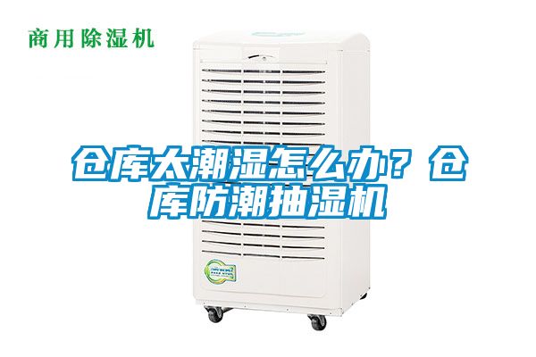 倉(cāng)庫(kù)太潮濕怎么辦？倉(cāng)庫(kù)防潮抽濕機(jī)