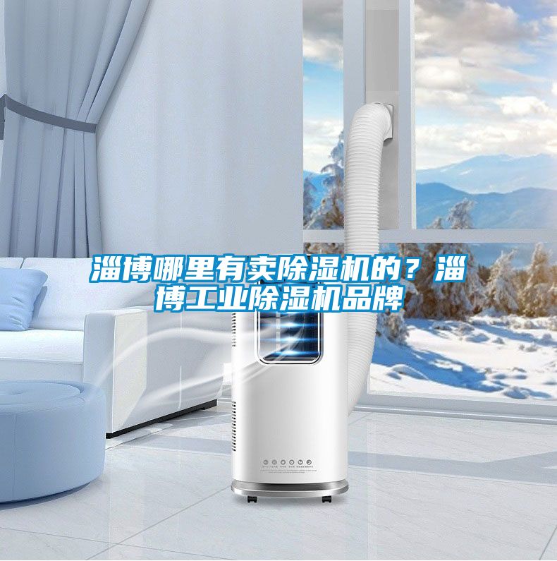 淄博哪里有賣除濕機的？淄博工業(yè)除濕機品牌