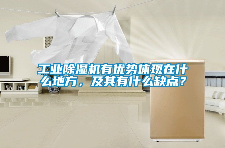 工業(yè)除濕機有優(yōu)勢體現(xiàn)在什么地方，及其有什么缺點？